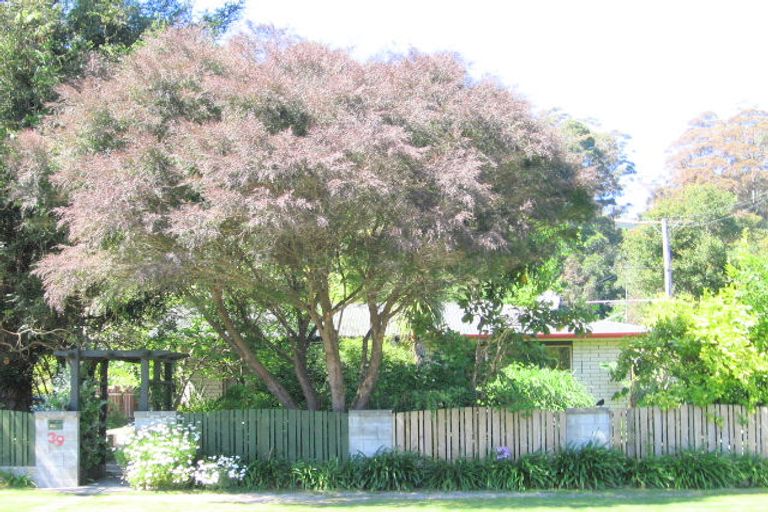 Photo of property in 39 Massey Road, Mangapapa, Gisborne, 4010