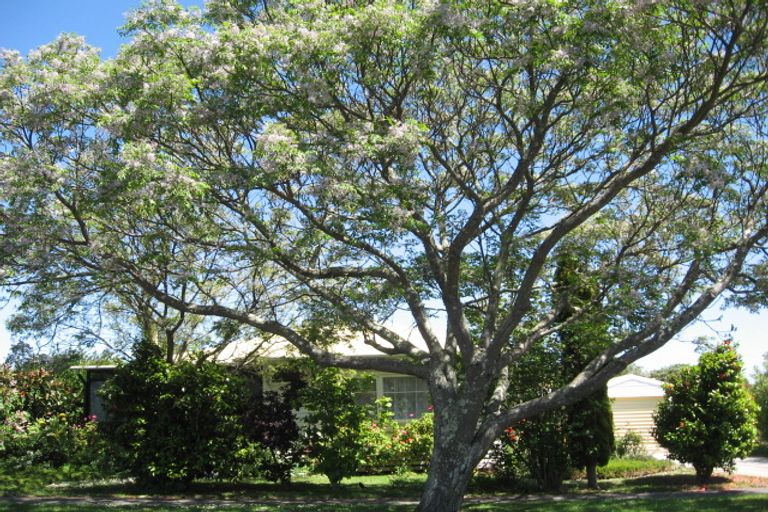 Photo of property in 91 Pukepoto Road, Kaitaia, 0410