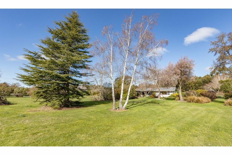 Photo of property in 1029 Tram Road, Swannanoa, Kaiapoi, 7692