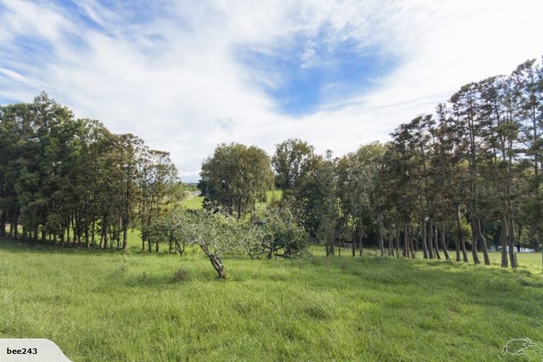 Photo of property in 754 Runciman Road, Runciman, Drury, 2578