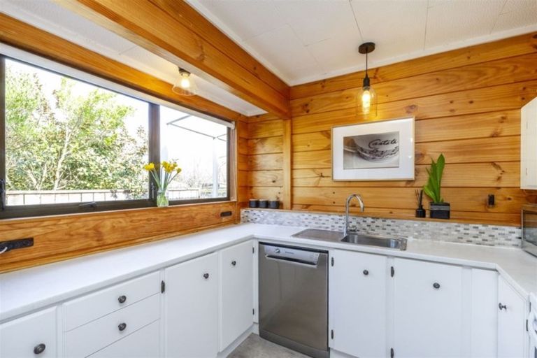 Photo of property in 14 College Street, Awapuni, Palmerston North, 4412