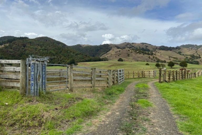 Photo of property in 1008 Tangowahine Valley Road, Tangowahine, Dargaville, 0372