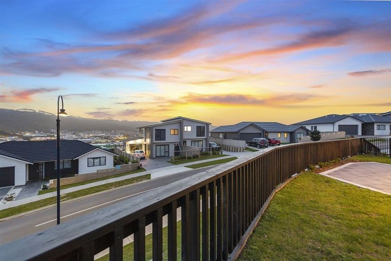 Photo of property in 113 John Burke Drive, Aotea, Porirua, 5024
