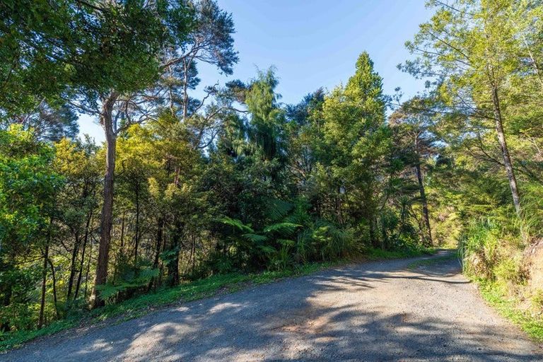 Photo of property in 19 Hayes Road, Henderson Valley, Auckland, 0612