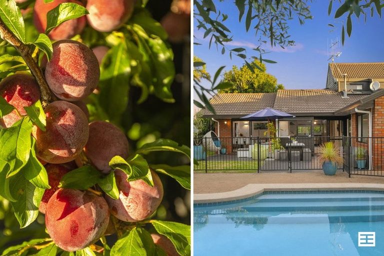 Photo of property in 73 Manuwai Drive, Matua, Tauranga, 3110