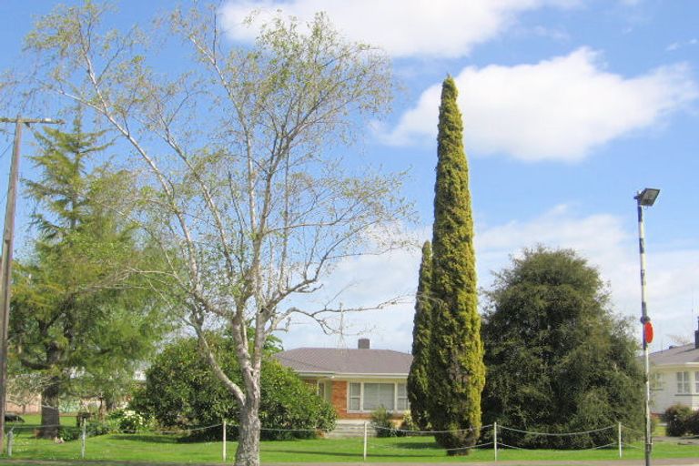 Photo of property in 127 Studholme Street, Morrinsville, 3300