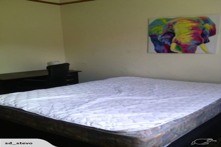 Photo of property in 390 Stuart Street, Roslyn, Dunedin, 9010