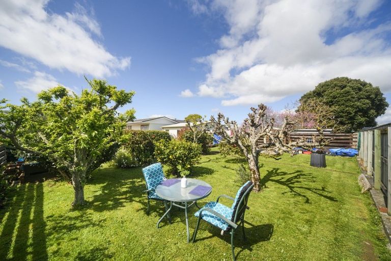 Photo of property in 135 Salisbury Street, Ashhurst, 4810