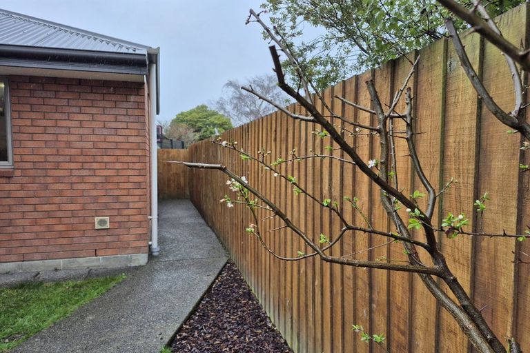 Photo of property in 20a Plunket Street, Spreydon, Christchurch, 8024