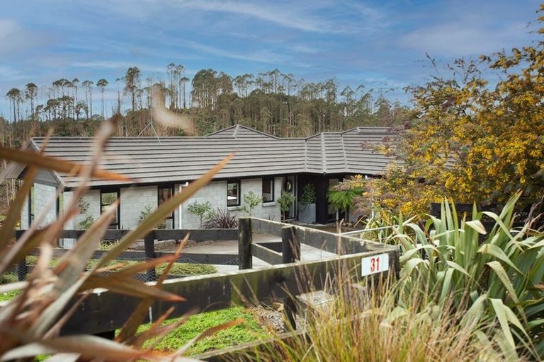 Photo of property in 31 Wildwood Lane, Matamata, 3472