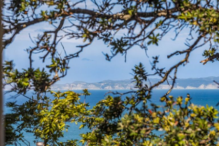 Photo of property in 14 Elizabeth Road, Bluff Hill, Napier, 4110