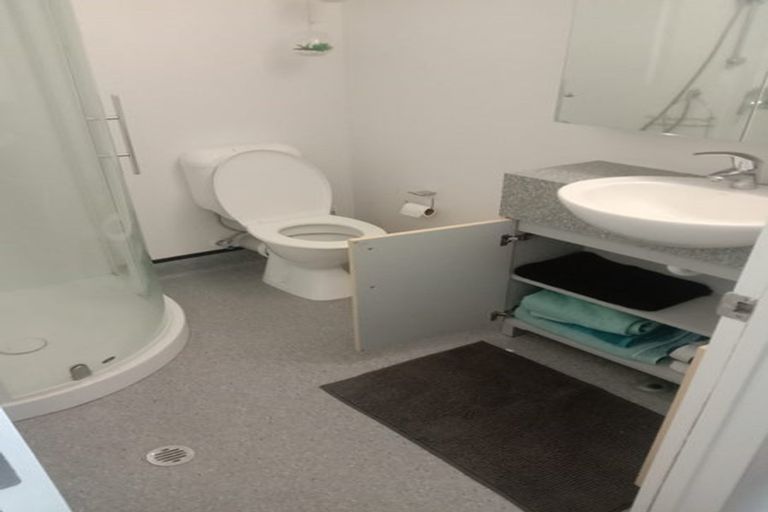 Photo of property in Dual Apartments, 108/142 Vivian Street, Te Aro, Wellington, 6011