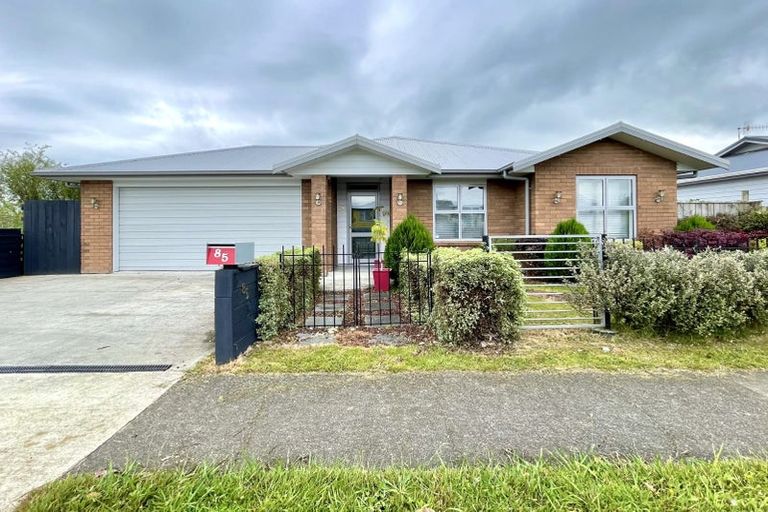 Photo of property in 85 Tiro Tiro Road, Levin, 5510
