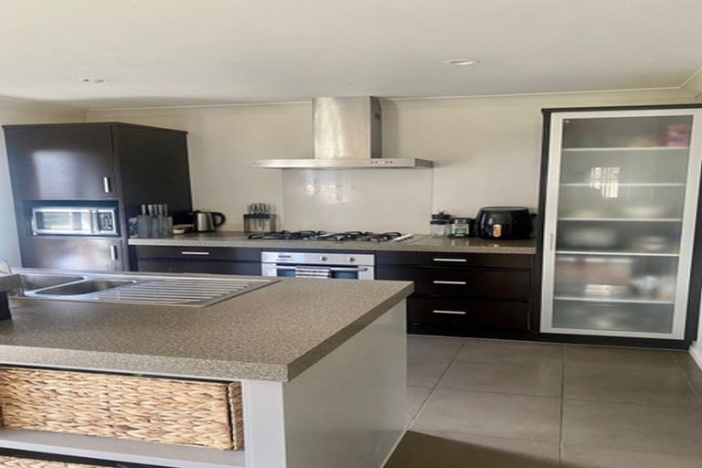 Photo of property in 55 Skelligs Drive, Flat Bush, Auckland, 2019