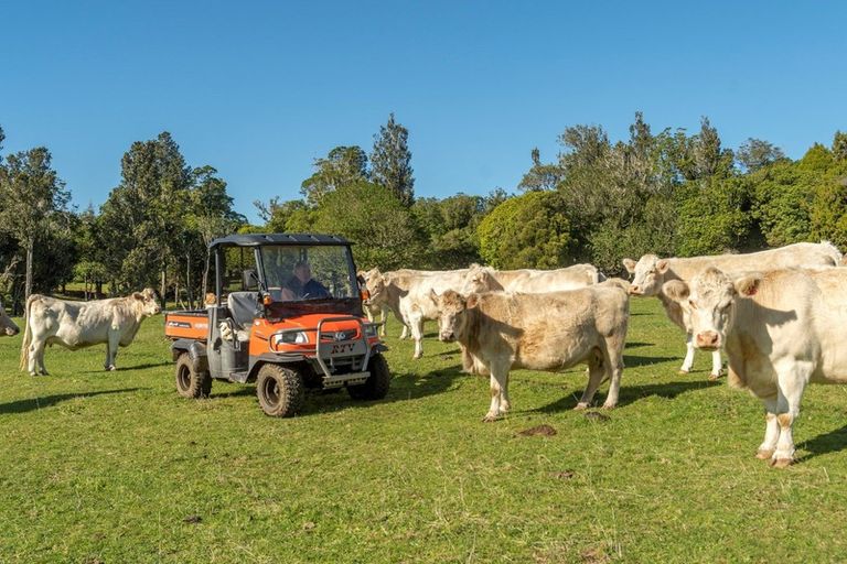 Photo of property in 163 Ross Road, Whakamarama, Tauranga, 3179