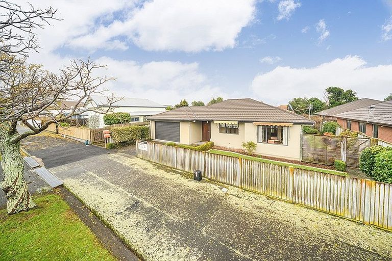Photo of property in 25 Alfred Street, Roslyn, Palmerston North, 4414