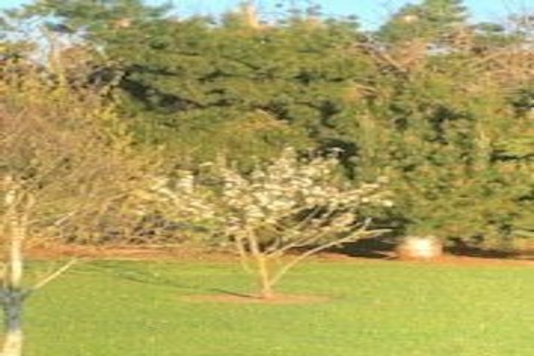 Photo of property in 3028 South Eyre Road, Oxford, Rangiora, 7476