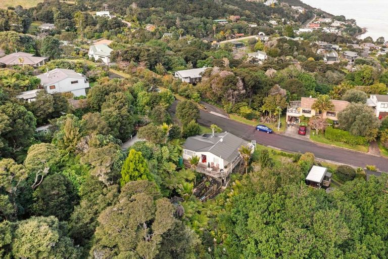 Photo of property in 24 Punga Place, Whitianga, 3510