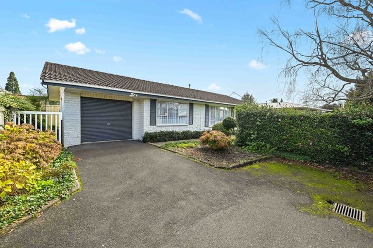 Photo of property in 275b Clarkin Road, Fairfield, Hamilton, 3214