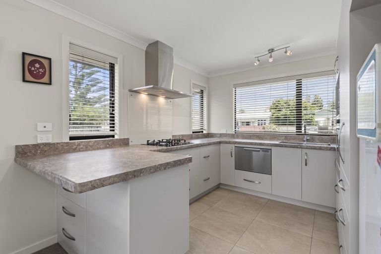 Photo of property in 39 Shamrock Street, Takaro, Palmerston North, 4412