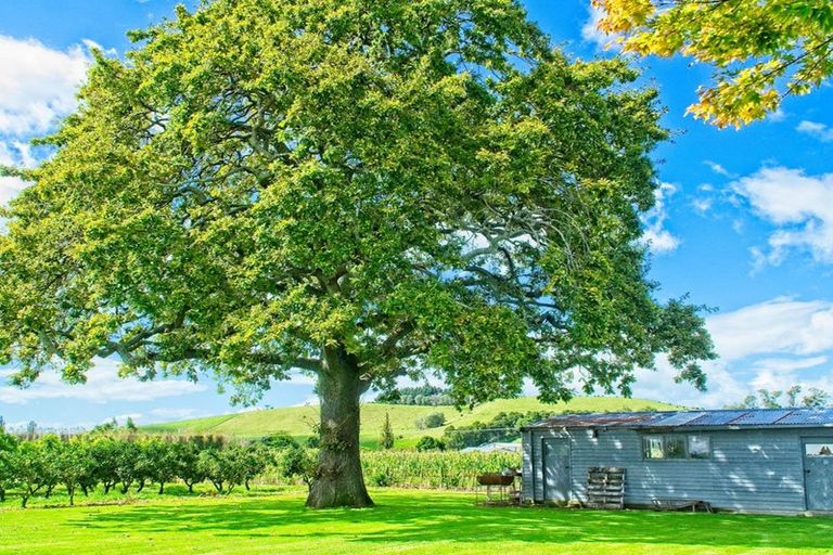 Photo of property in 134 Kaimoe Road, Patutahi, Gisborne, 4072