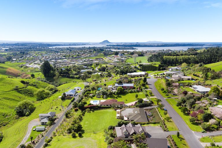 Photo of property in 19 Roger Guy Place, Welcome Bay, Tauranga, 3175