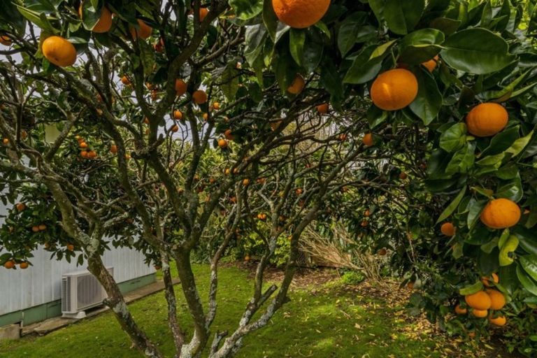 Photo of property in 20 Cook Drive, Whitianga, 3510