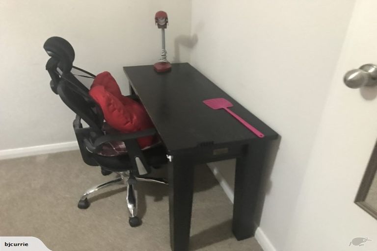 Photo of property in 125 Limbrick Street, Terrace End, Palmerston North, 4410