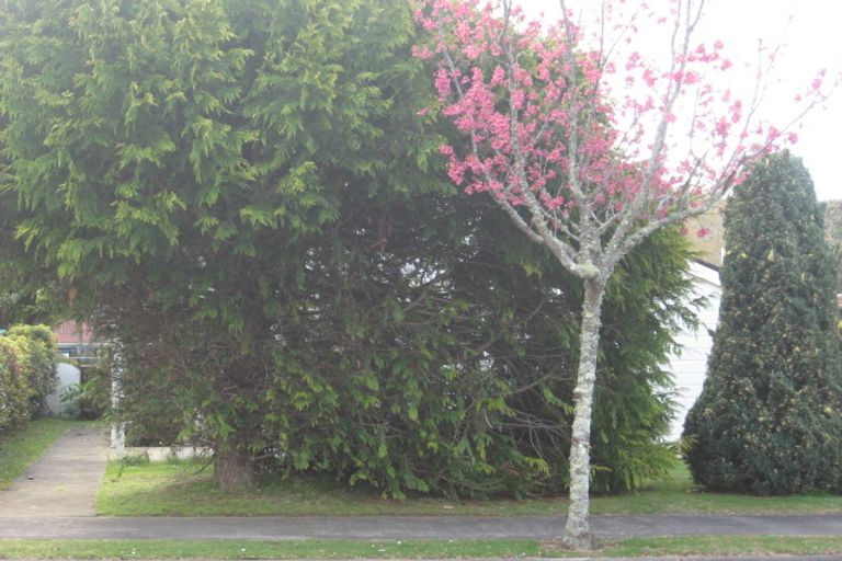 Photo of property in 12 Cory Wright Drive, Tairua, 3508