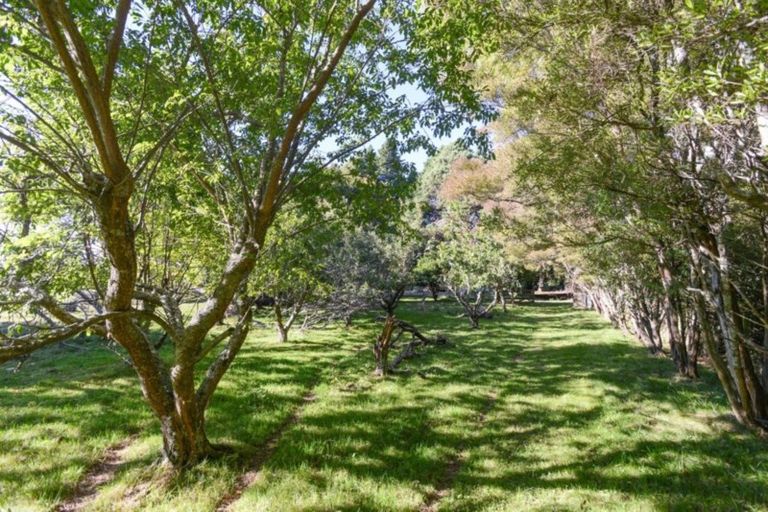 Photo of property in 250 Hendley Road, Patoka, Napier, 4186