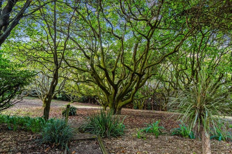 Photo of property in 16 Boscabel Drive, Ohauiti, Tauranga, 3112