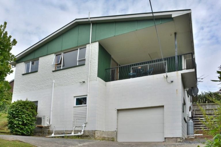 Photo of property in 12a Coney Hill Road, Saint Clair, Dunedin, 9012
