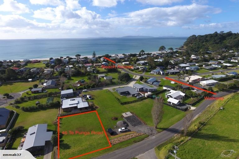 Photo of property in 46 Te Punga Road, Whangapoua, Coromandel, 3582