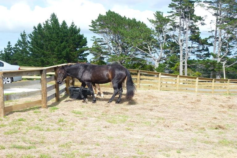 Photo of property in 1400 Kaipara Coast Highway, Kaukapakapa, 0984