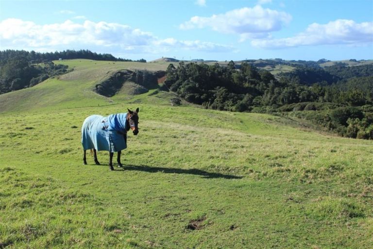 Photo of property in 71b Taiapa Valley Road, Muriwai, 0881