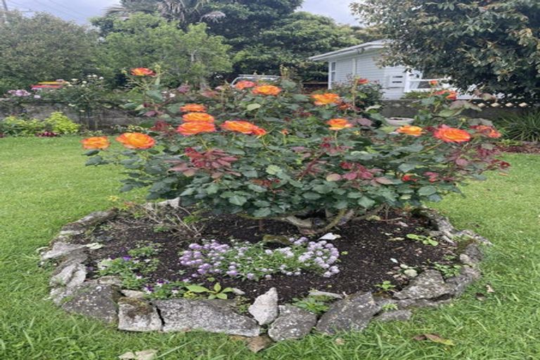 Photo of property in 259 Boucher Avenue, Te Puke, 3119