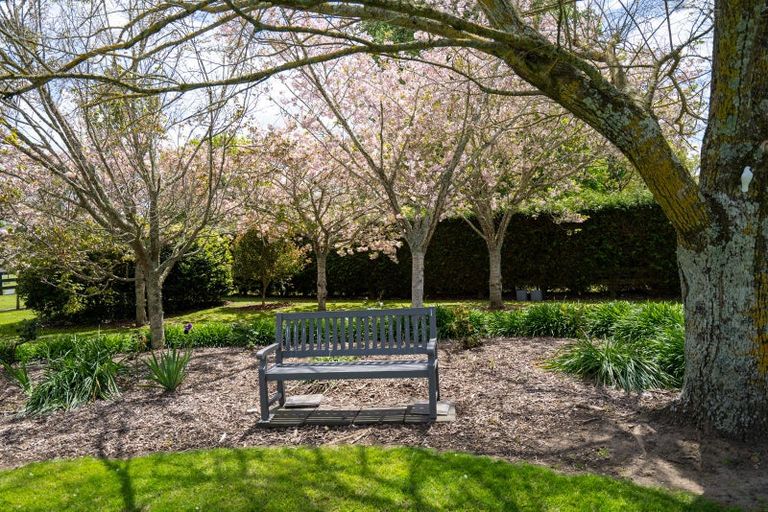 Photo of property in 80 Maungakawa Road, Cambridge, 3496