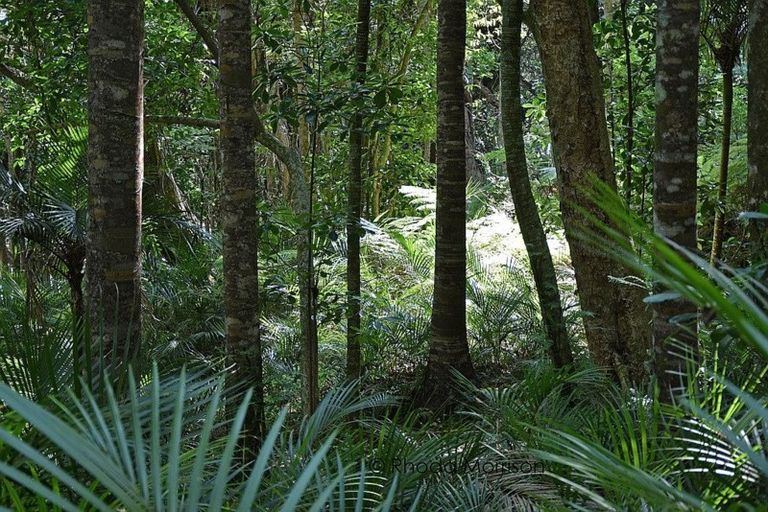 Photo of property in 435 Heatley Road, Whakapirau, 0583