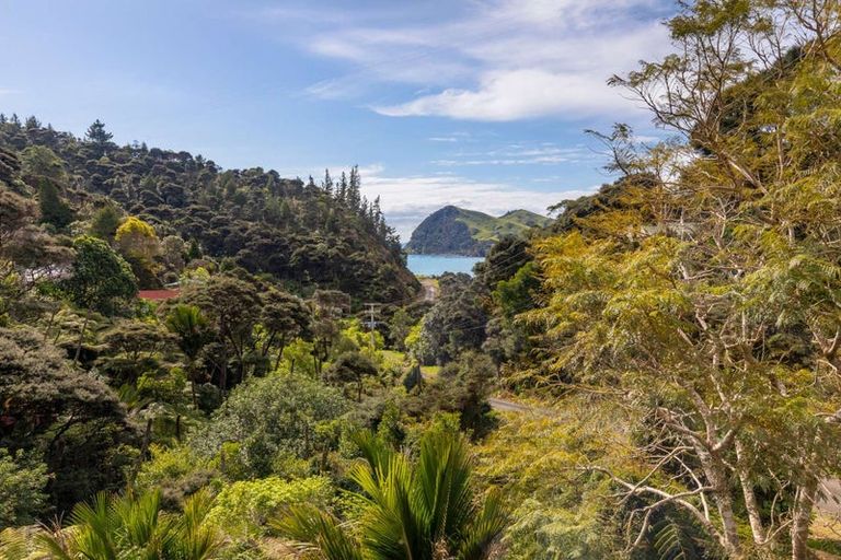 Photo of property in 18 Adlor Hill Road, Port Charles, Coromandel, 3584