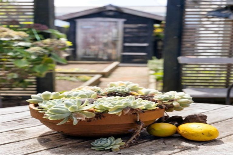 Photo of property in 151 Peachgrove Road, Hamilton East, Hamilton, 3216