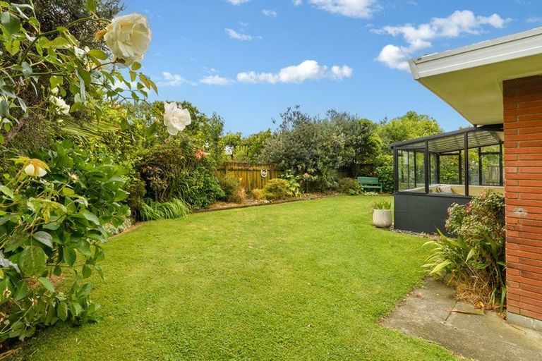 Photo of property in 56b Te Hono Street, Maungatapu, Tauranga, 3112