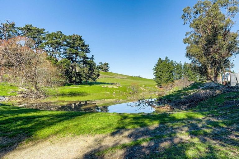 Photo of property in 453 Tetley Brook Road, Seddon, 7285