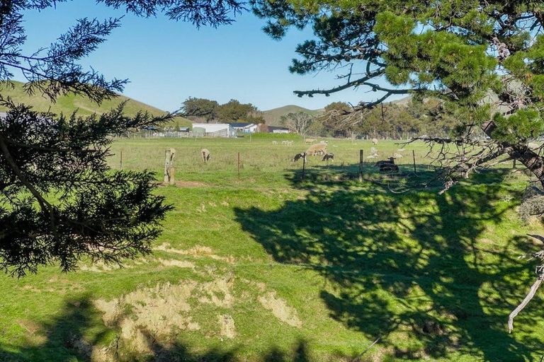 Photo of property in 453 Tetley Brook Road, Seddon, 7285