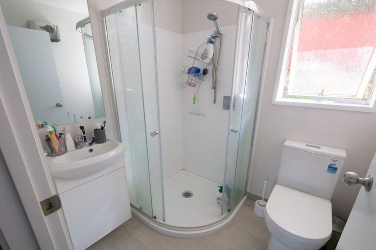 Photo of property in 17a Buccleugh Street, North East Valley, Dunedin, 9010