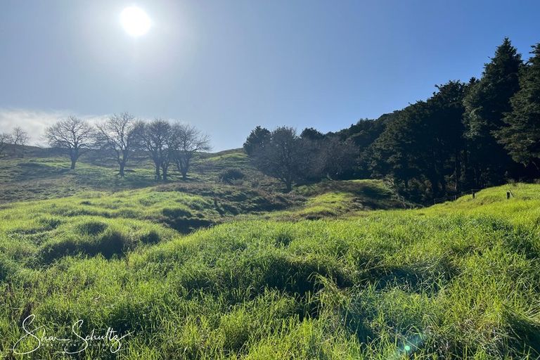 Photo of property in 171 Arcadia Road, Paparoa, 0571