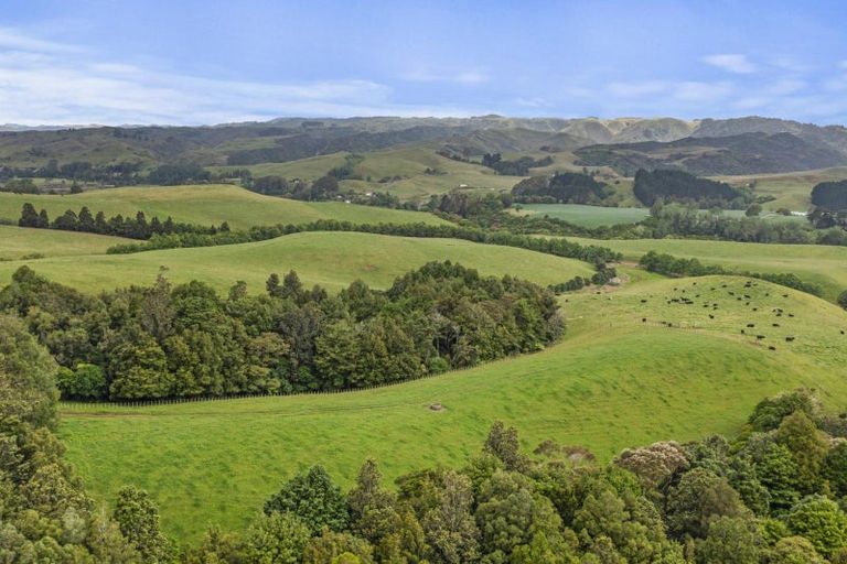 Photo of property in 201c Checkley Road, Raglan, 3295