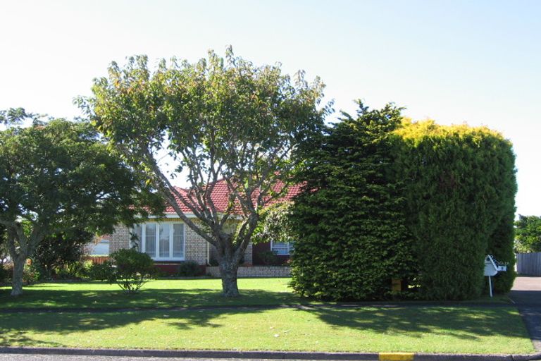 Photo of property in 3 Cambridge Street, Putaruru, 3411