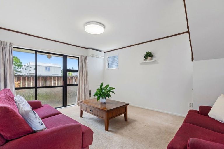 Photo of property in 14b Tutchen Street, Tauranga, 3110