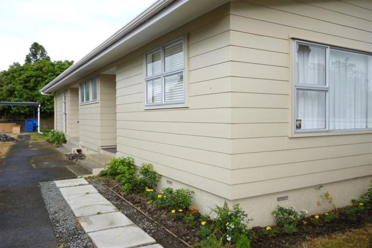 Photo of property in 119 Riverpark Crescent, Henderson, Auckland, 0610