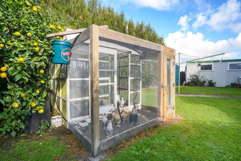 Photo of property in 171 No 1 Line, Westbrook, Palmerston North, 4475